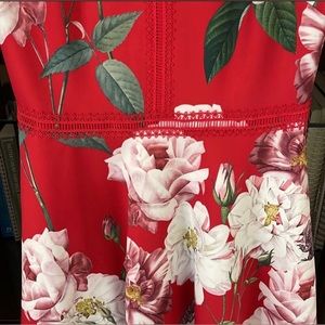 NWOT Ted Baker Skater Dress